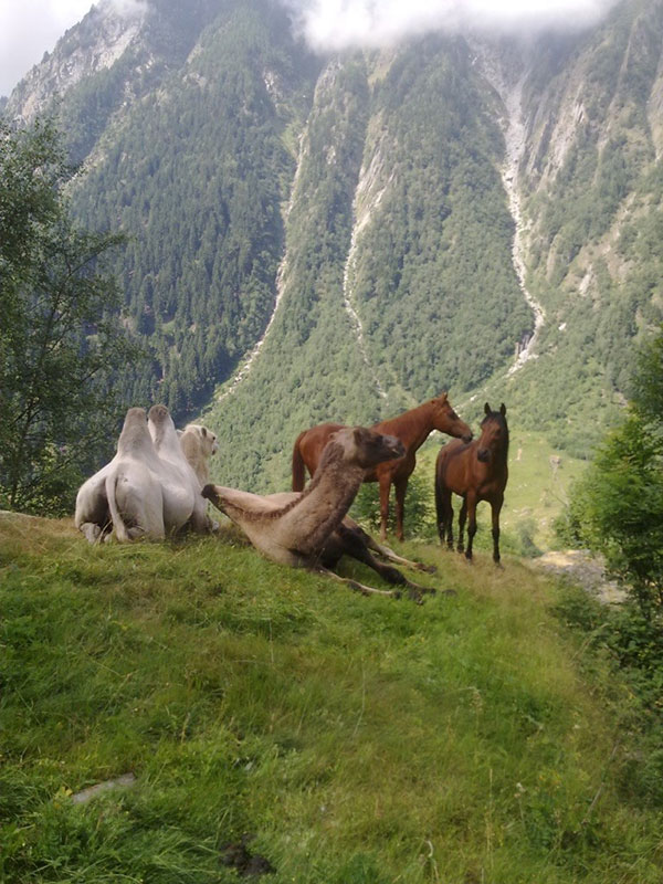 Trekkings à partir de 2005